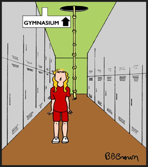 Gymnasium