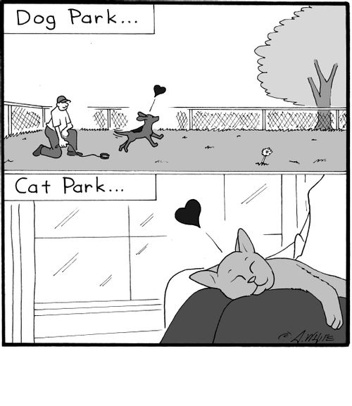Dog Park / Cat Park