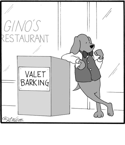 Valet Barking