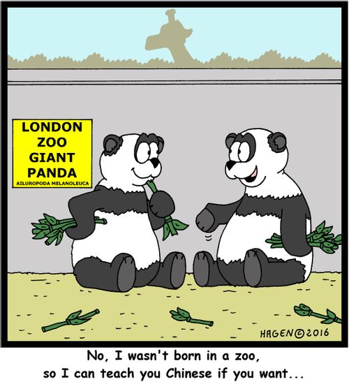"No, I wasn't born in a zoo, so I can teach you Chinese if you want..."