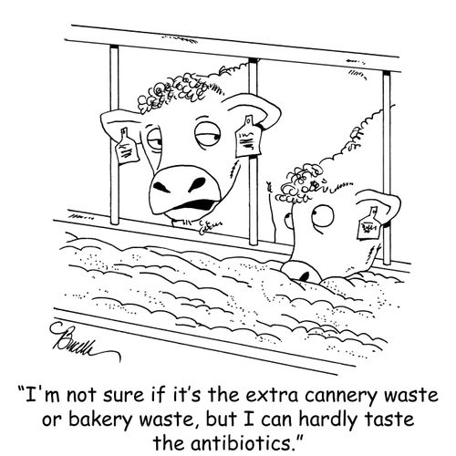 "I'm not sure if it's the extra cannery waste or bakery waste, but I can hardly taste the antibiotics."