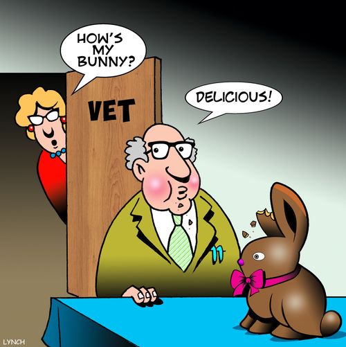 "How's my bunny?"