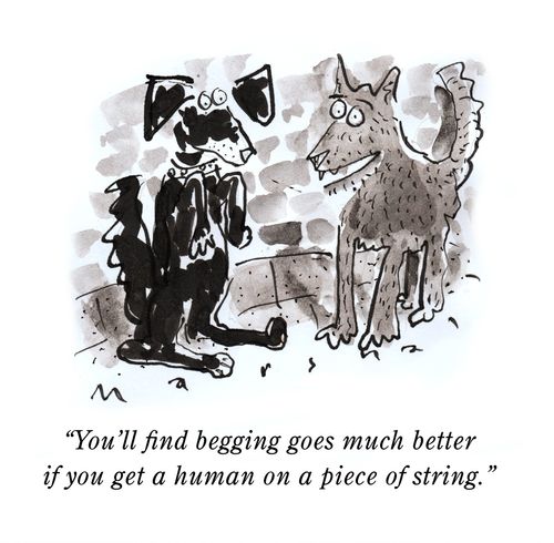 "You'll find begging goes much better if you get a human on a piece of string."