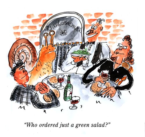 "Who ordered just a green salad?"