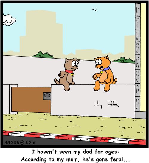 "I haven't seen my dad for ages: According to my mum, he's gone feral..."