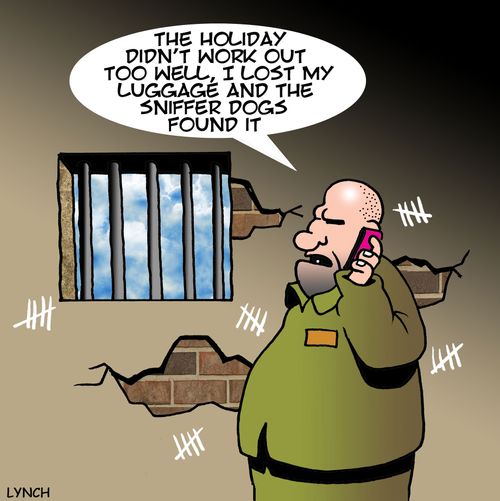 "The holiday didn't work out too well, I lost my luggage the sniffer dogs found it."