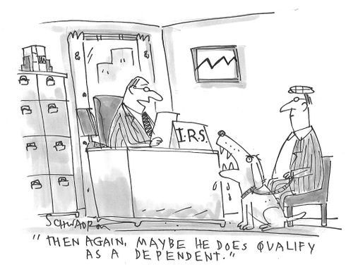 "Then again, maybe he does qualify as a dependent."
