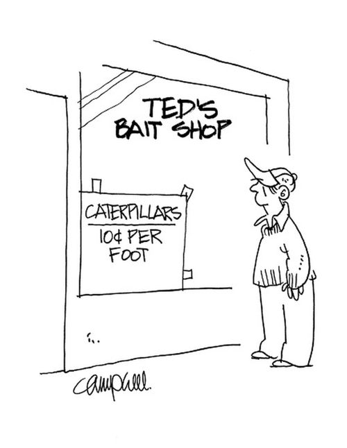 Ted's Bait Shop: 'Caterpillars, 10 cents per foot.'