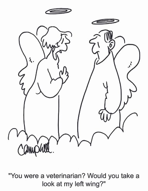 "You were a veterinarian? Would you take a look at my left wing?"