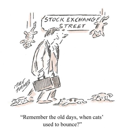 "Remember the old days, when cat's' used to bounce?"