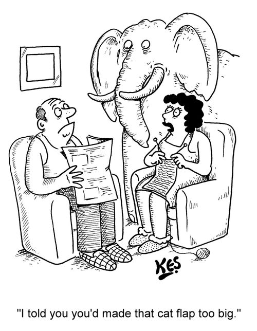 "I told you you'd made that cat flap too big."