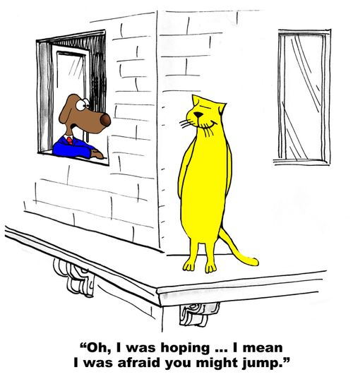 "Oh, I was hoping....I mean I was afraid you might jump."