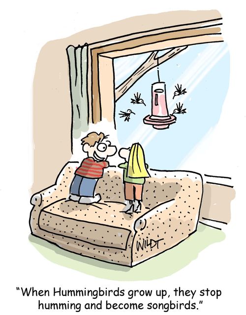 "When Hummingbirds grow up, they stop humming and become songbirds."