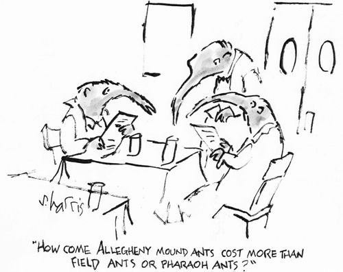 "How come Allegheny mound ants cost more than field ants or Pharaoh ants?"
