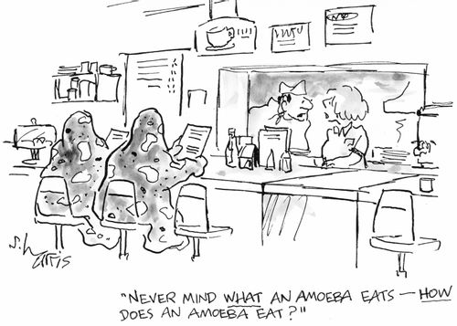"Never mind what an amoeba eats - how does an amoeba eat.?"