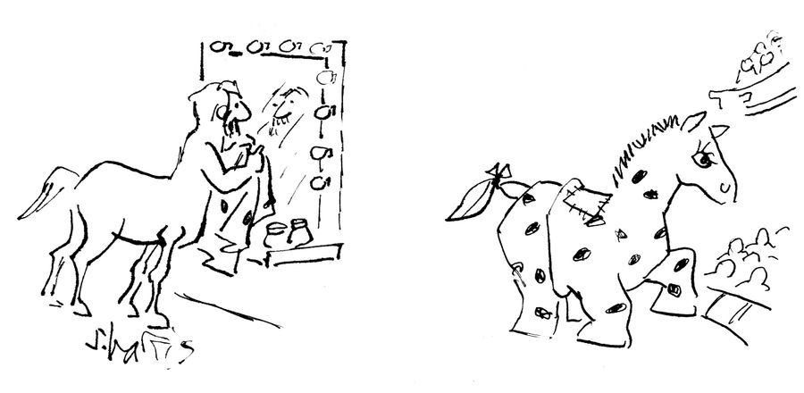 Centaur becomes pantomime horse