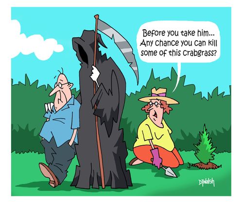 "Before you take him...any chance you can kill some of this crabgrass?"