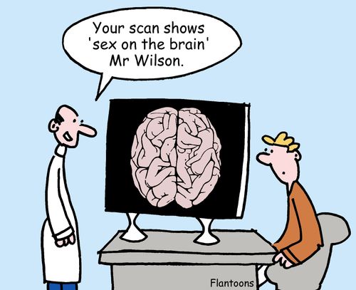 "Your scan shows 'sex on the brain', Mr Wilson."