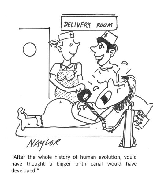 "After the whole history of human evolution, you'd have thought a bigger birth canal would have developed!"
