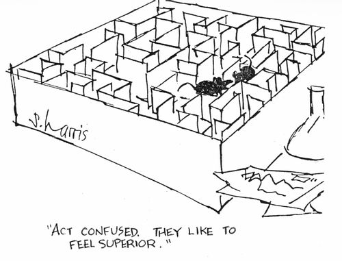 "Act confused. They like to feel superior."