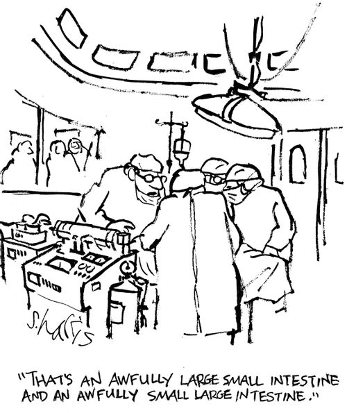 "That's an awfully large small intestine and an awfully small large intestine."