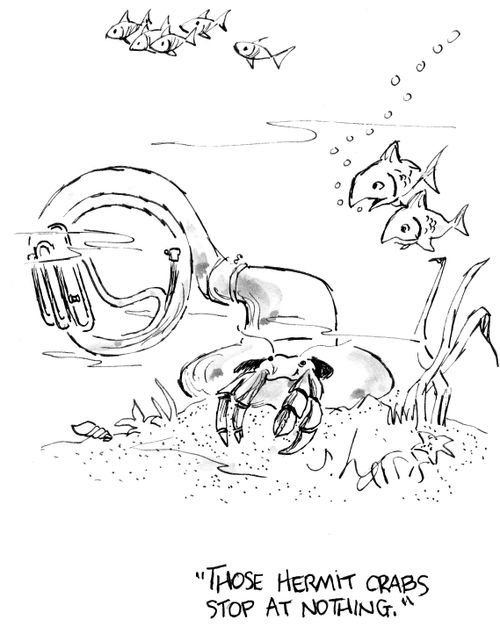 "Those hermit crabs stop at nothing."