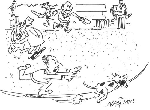 Dog steals a cricket ball.