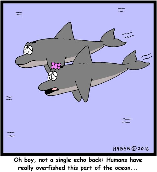 "Oh boy, not a single echo back: Humans have really overfished this part of the ocean..."