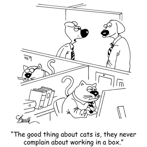 "The good things about cats is, they never complain about working in a box."