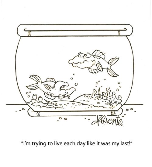 "I'm trying to live each day like it was my last!"