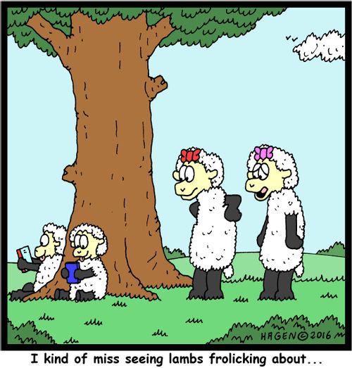 "I kind of miss seeing lambs frolicking about..."
