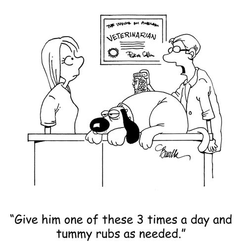 "Give him one of these 3 times a day and tummy rubs as needed."
