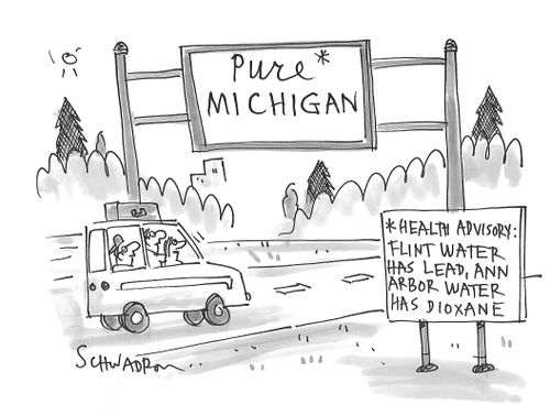 Health Advisory: Flint Water has lead, Ann Arbor water has dioxane.