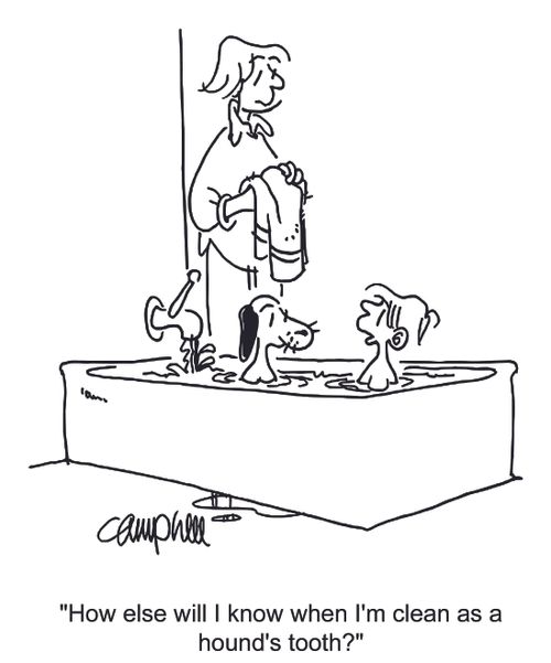 "How else will I know when I'm clean as a hound's tooth?"
