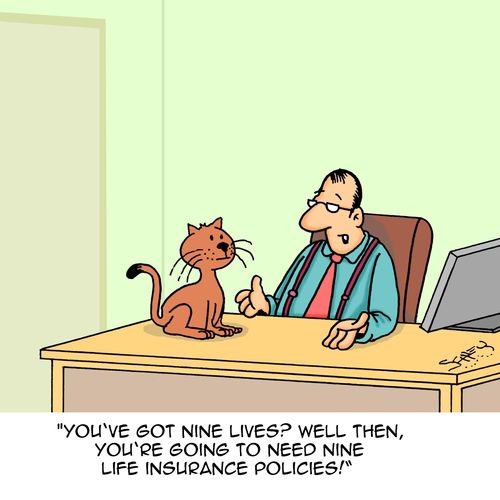 "You've got nine lives? Well then, you're going to need nine life insurance policies!"