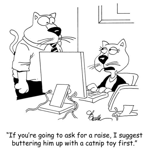 "If you're going to ask for a raise, I suggest buttering him up with a catnip toy first."