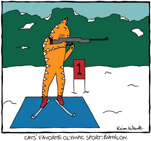 Cats' favorite Olympic sport: biathlon.