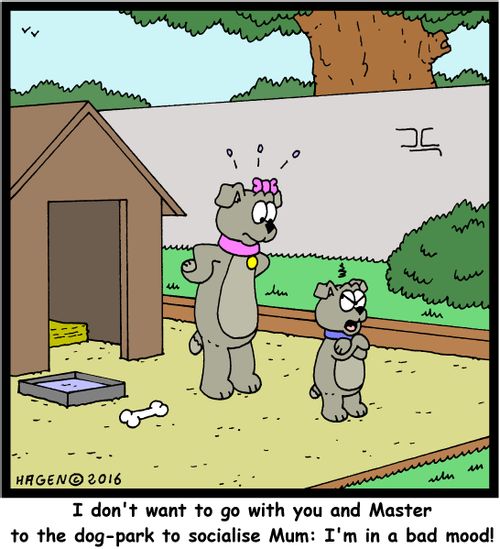 "I don't want to go with you and Master to the dog-park to socialise Mum: I'm in a bad mood!"