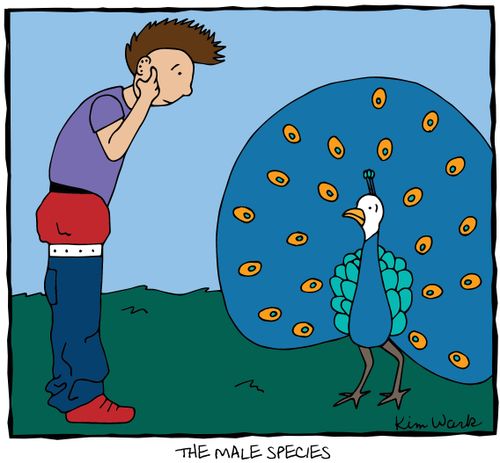 The male species