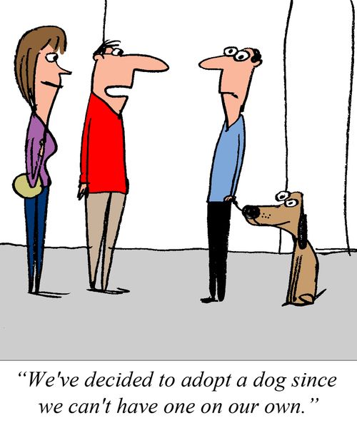 "We've decided to adopt a dog since we can't have one on our own."