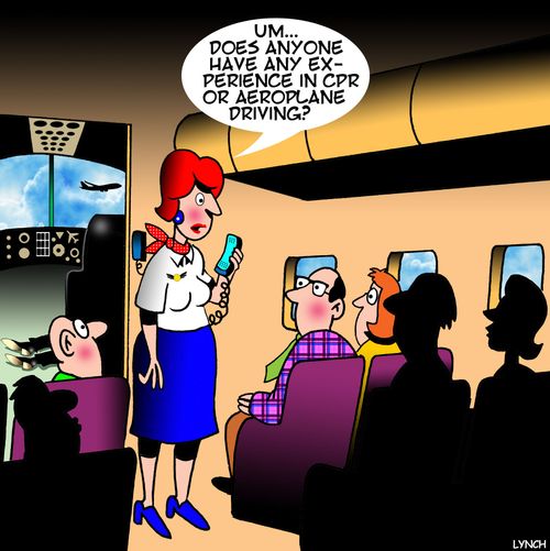 "Um...does anyone have any experience in CPR or aeroplane driving."