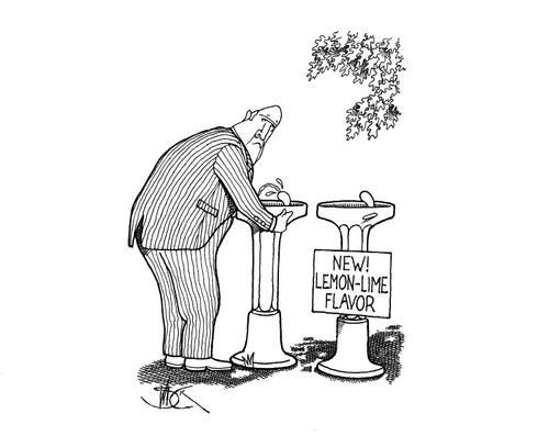 New! Lemon-Lime Flavor Water Fountain.