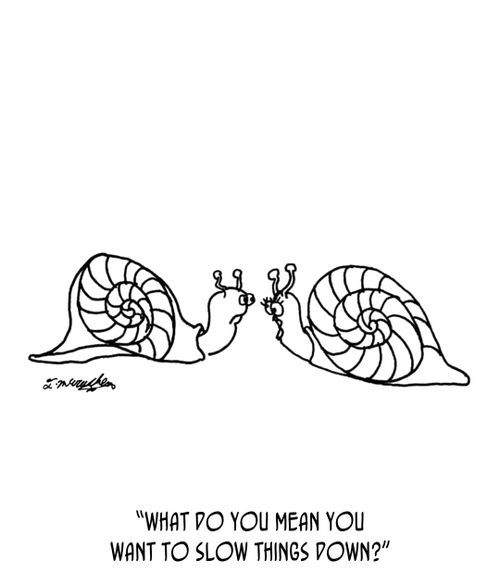 "What do you mean you want to slow things down?"