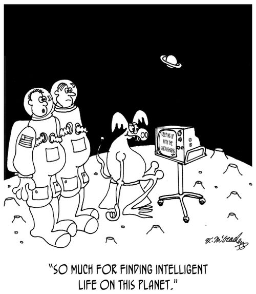 "So much for finding intelligent life on this planet."