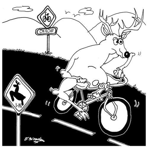 A deer rides a bicycle on a road with Deer Crossing and Bikes on Road signs.