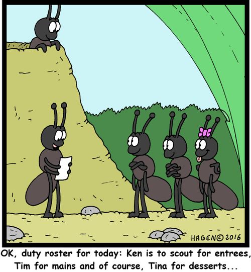"OK, duty roster for today: Ken is to scout for entrees, Tim for mains and of course, Tina for desserts..."
