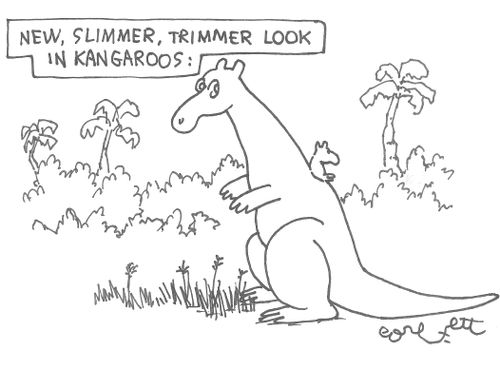 New, slimmer, trimmer look in kangaoos.