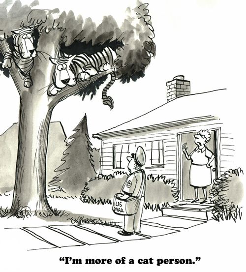"I'm more of a cat person."
