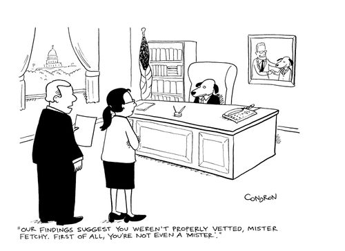 "Our findings suggest you weren't properly vetted, Mister Fetchy.  First of all, you're not even a Mister."