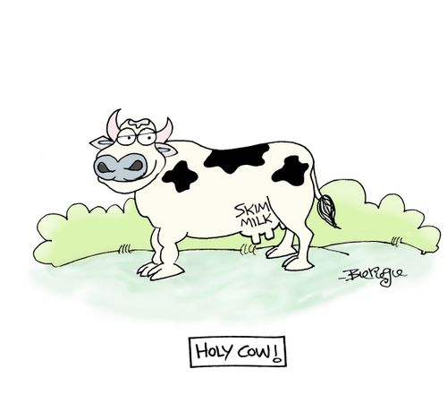 Holy Cow
